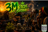 82c8ac8ae50db11d7ad50bfadb2a58f5.png