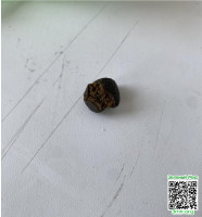 9ebb135647c9bf1eab62b1e017b01def.jpeg