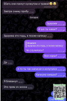 c6914ea25580430afaad1190cd7d9b55.jpeg