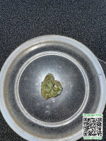 c7124dbde419ffd509e56ac9e9dd26e1.jpg